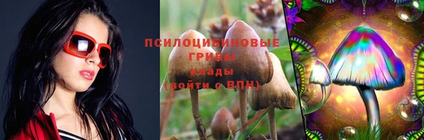 дмт Баксан