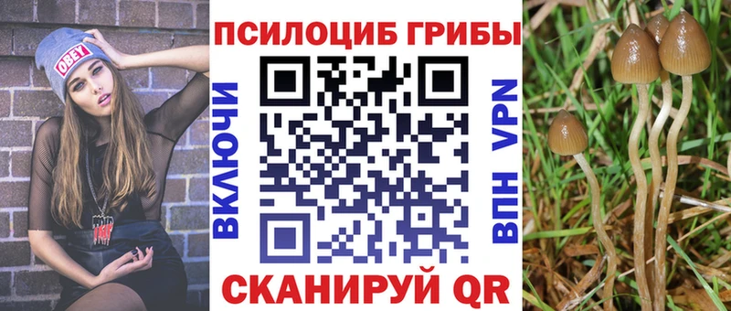 Галлюциногенные грибы Magic Shrooms  Купить где  Бикин 